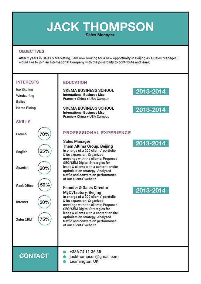 Build a professional CV with a professional format with this template!