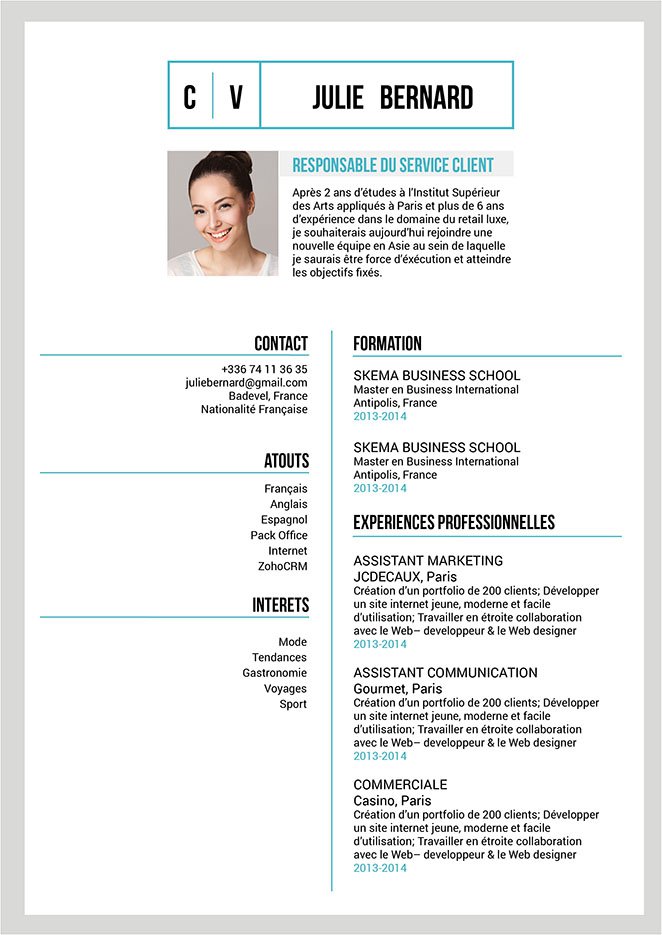 Curriculum Vitae En Francais