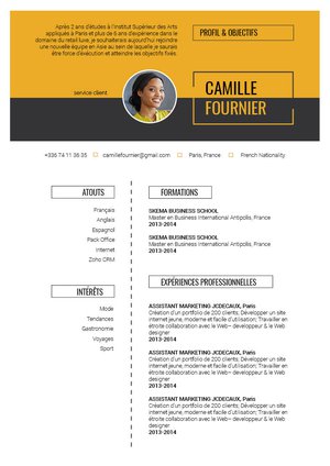 Cv Agent Immobilier Sans Experience