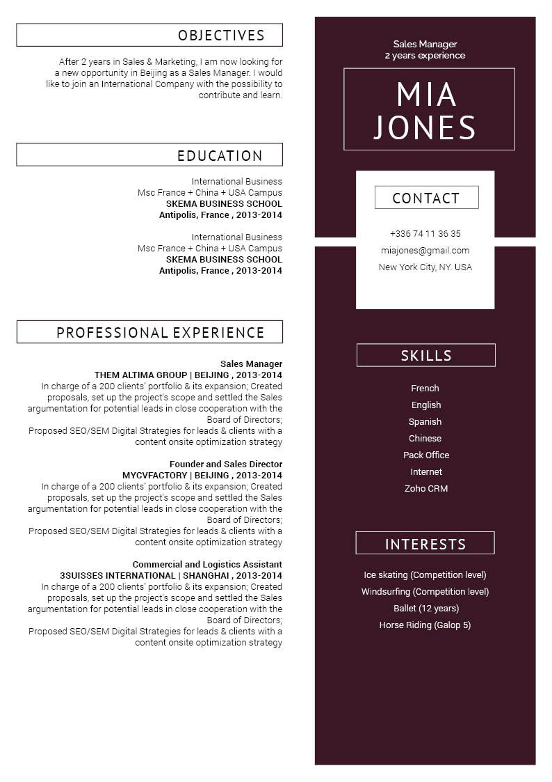 Well-crafter format makes this great CV template a solid hit.