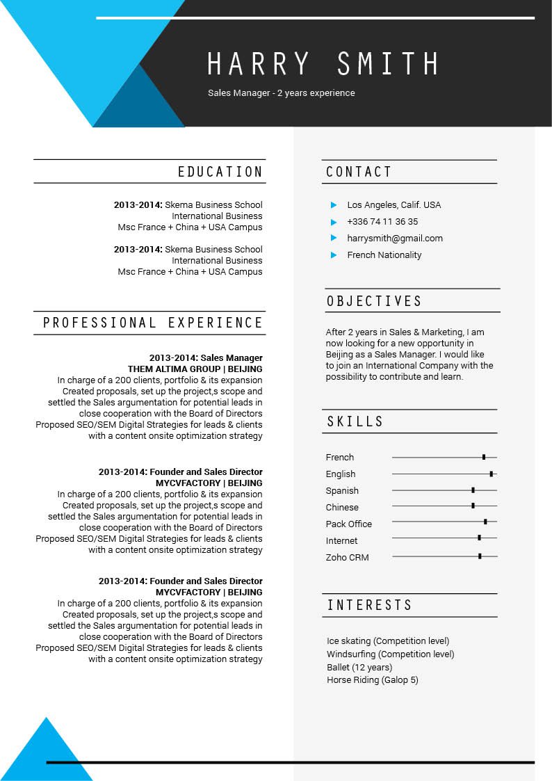 A superb professional resume that deatils all of your skill and expertise excellently