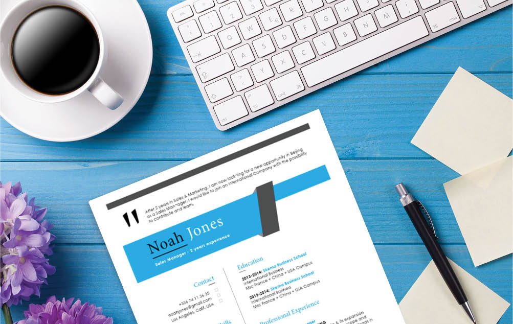 Great design and format, all relevant points are seen in this modern resume template