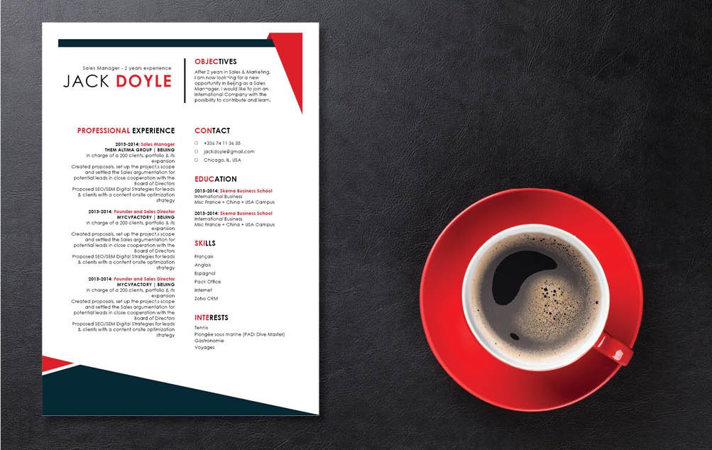 Standard modern resume template, yet creative and functional at the same time
