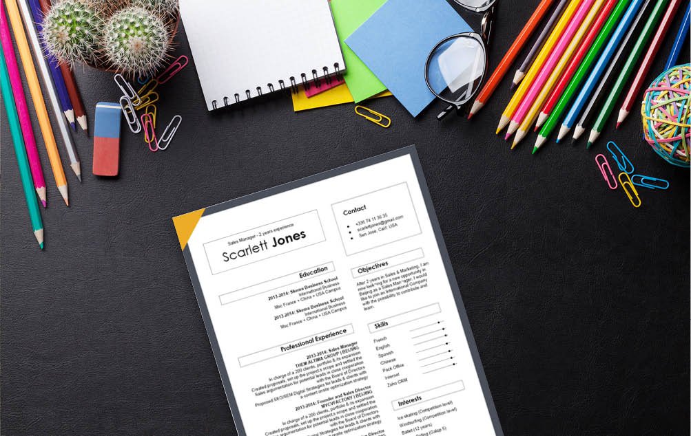 This professional resume template has a unique design that is sure to make you stand out!