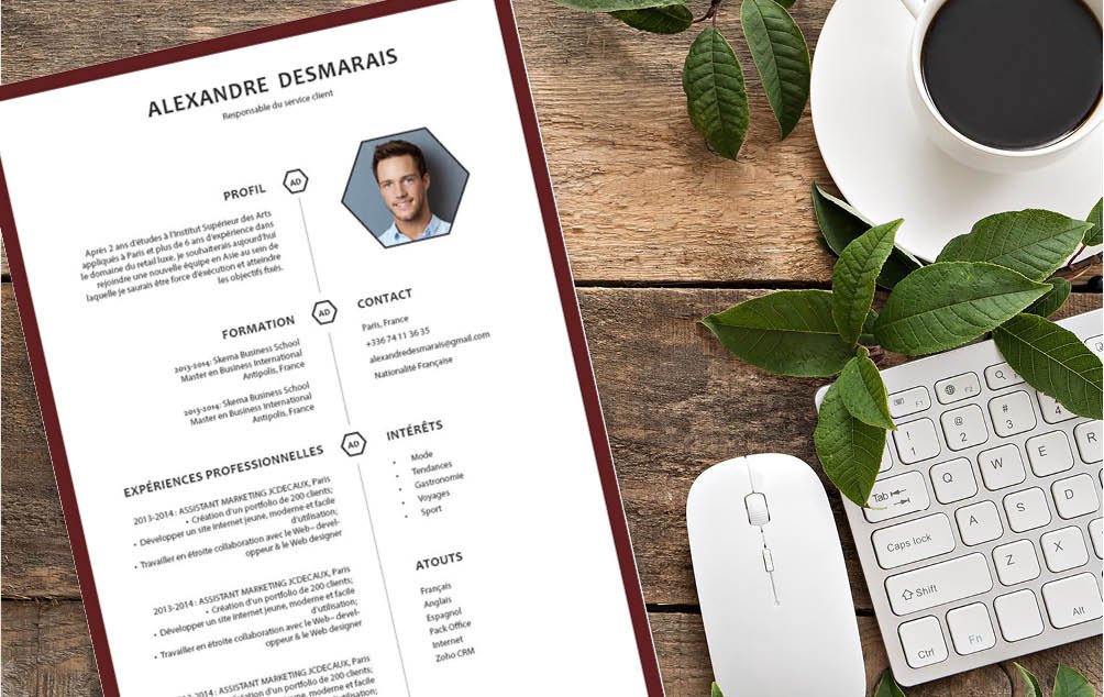 Mycvfactory-cv design-406 Pour postuler à un poste de vendeur ce CV est adapté