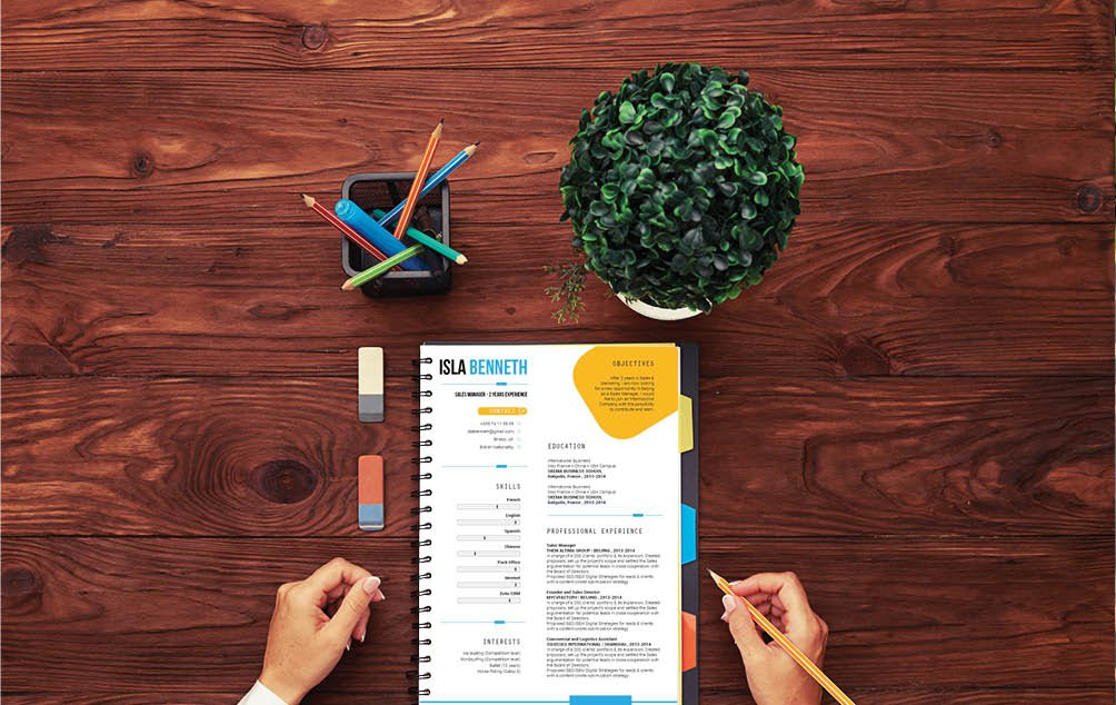 One of the best professional resume templates we have, are you ready for that dream job?