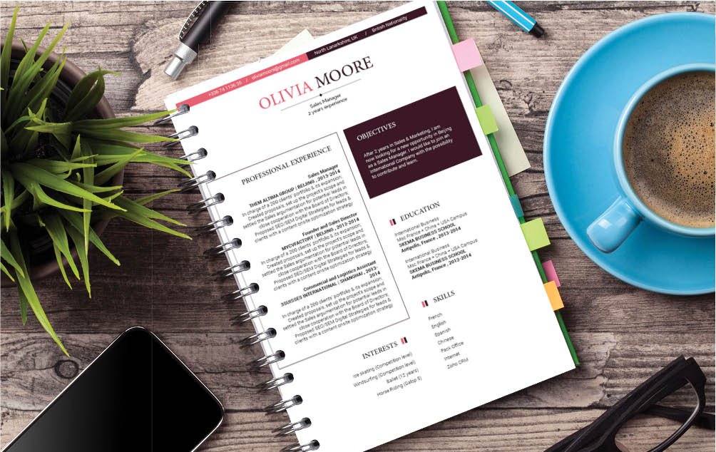 Professional experience is excellently emphasized in this simple CV Template