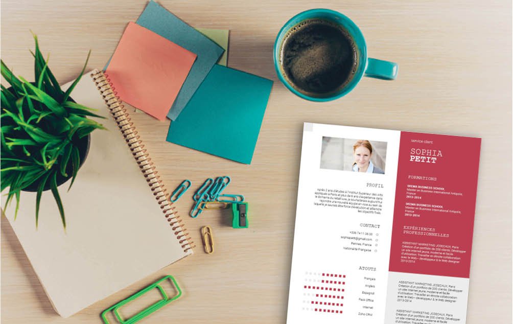 Mycvfactory-cv design-387.jpg Un cv idéal si vous postulez à un poste dans les ressources humaines ou le service client.