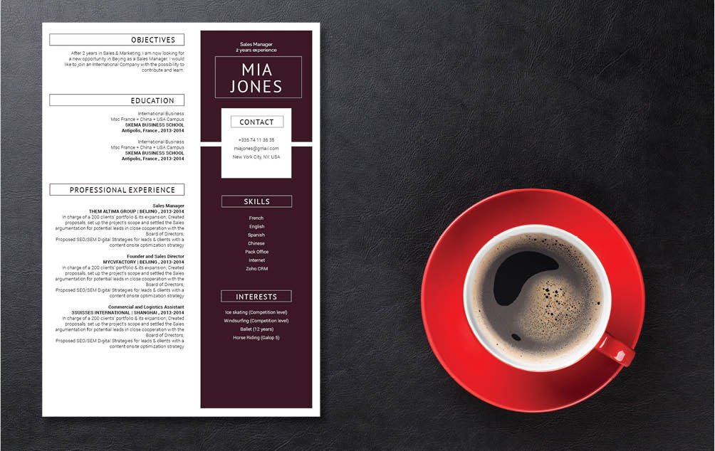 A professionally great CV template that presents all your skills and experience excellently