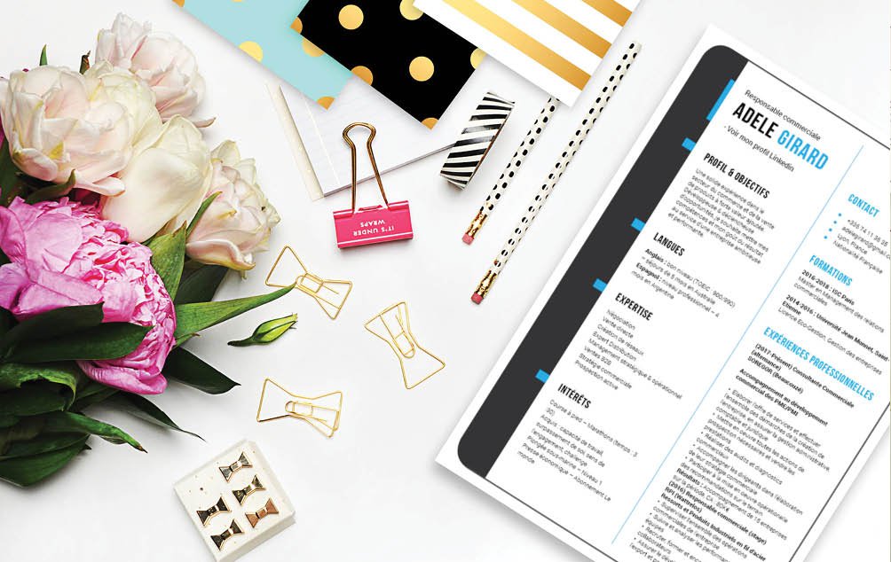 Mycvfactory-cv design-441.jpg Des colonnes très épurées avec un peu de couleur, la lecture est facile avec ce CV