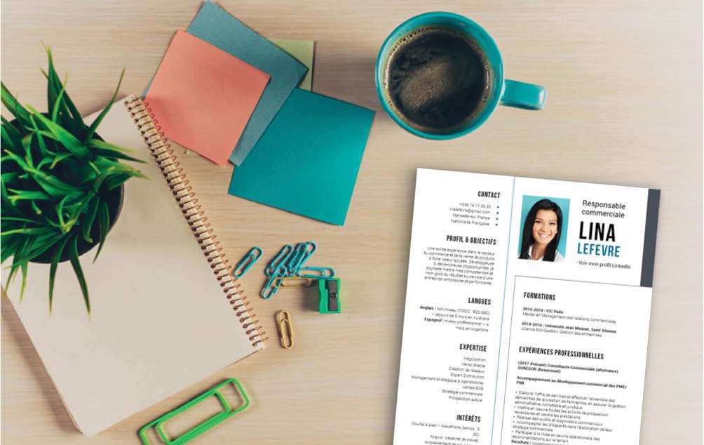 Mycvfactory-cv design-443.jpg L'impression d'ensemble donne un CV très compartimenté dans la coneption a été difficile