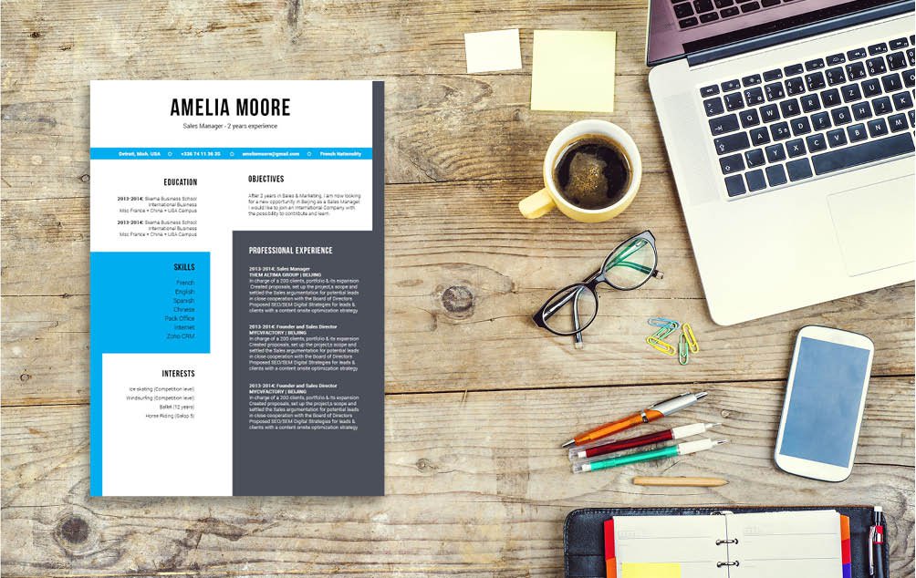 This best downloadable resume template features an excellent choice fo styles and shapes which make it ideal for the IT sector