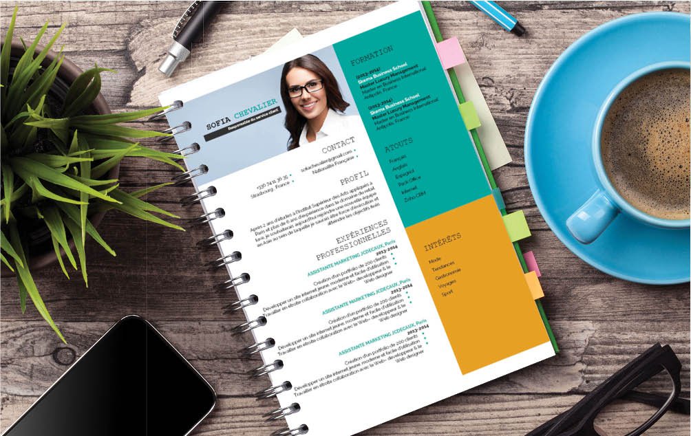 Mycvfactory-cv design-423 Ce CV est à conseiller à ceux qui briguent un poste de directeur dans la banque ou la finance