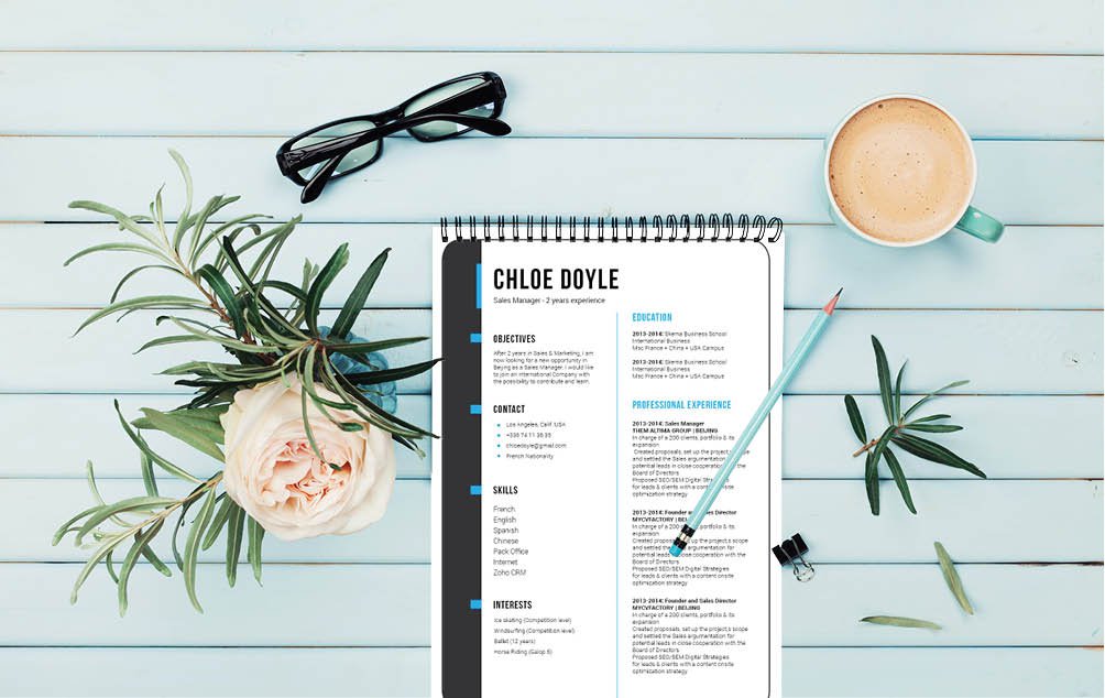 The format and design in this professional resume template will get you that dream job!