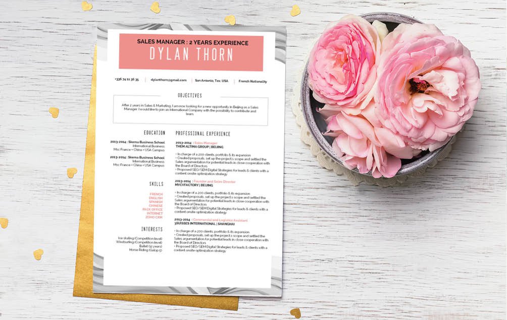 Sometines a simple resume template is all you need to get that professional profile