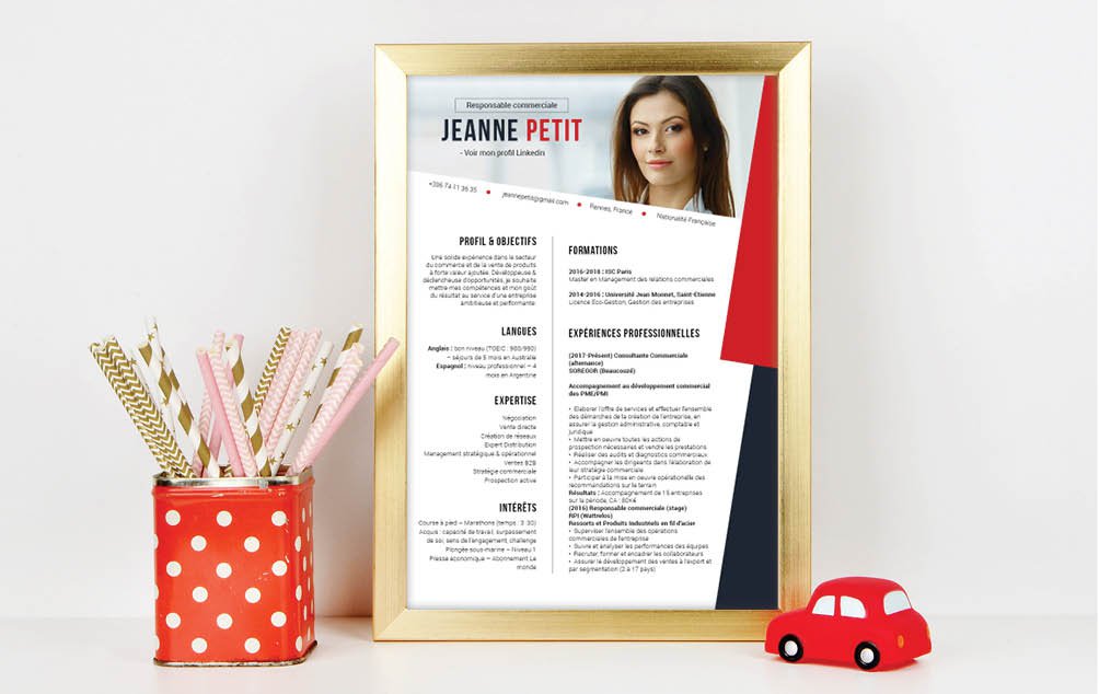 Mycvfactory-cv design-444.jpg De la sobriété, compensée par les éléments graphiques.