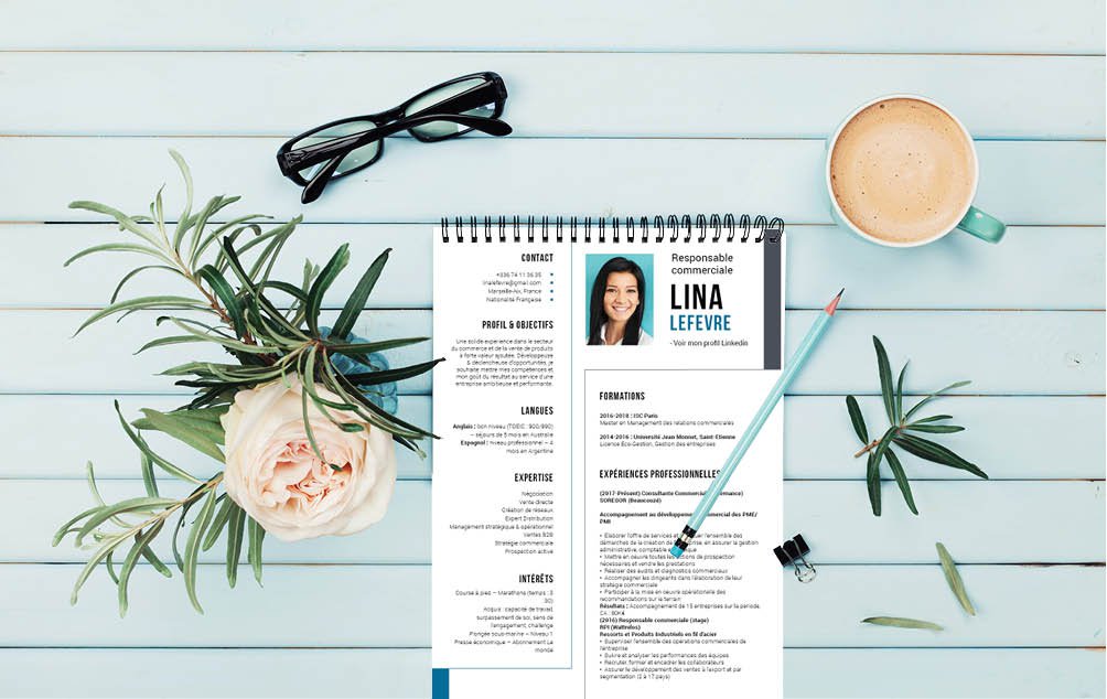 Mycvfactory-cv design-443.jpg Des colonnes et des liserés, un CV très ordonné