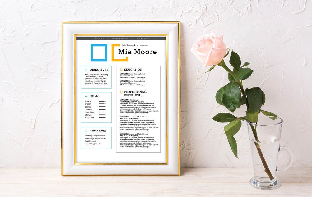 The colors and designs make this template a starting point for a good resume