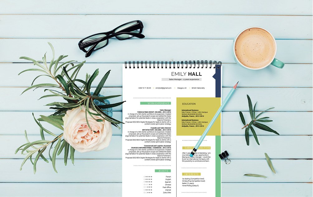 A perfect color scheme for this the perfect modern CV