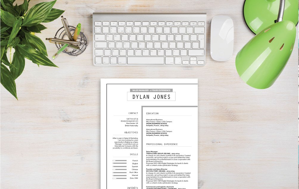 The best Professional CV Template we have that allows any professional to rise up the ranks