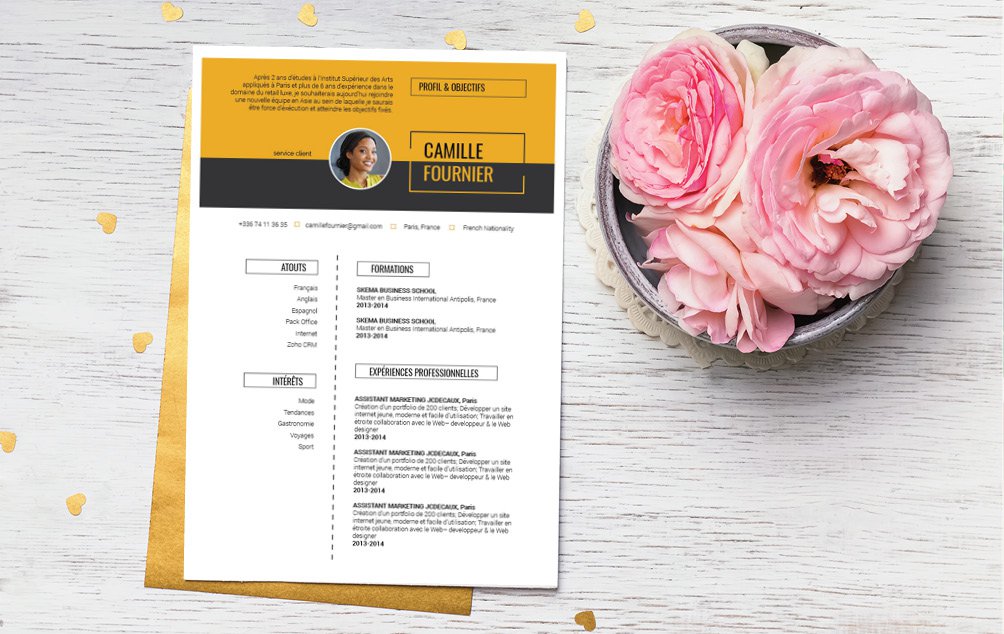 Mycvfactory-cv design-373.jpg A conseiller à ceux qui font carrière dans l'administration ou le management.