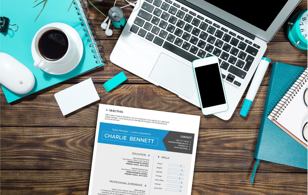 This professional cv format features a clean and functional design perfect for all job types