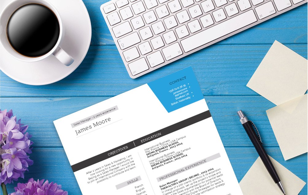 Great choice of colors and designs for the professional CV template