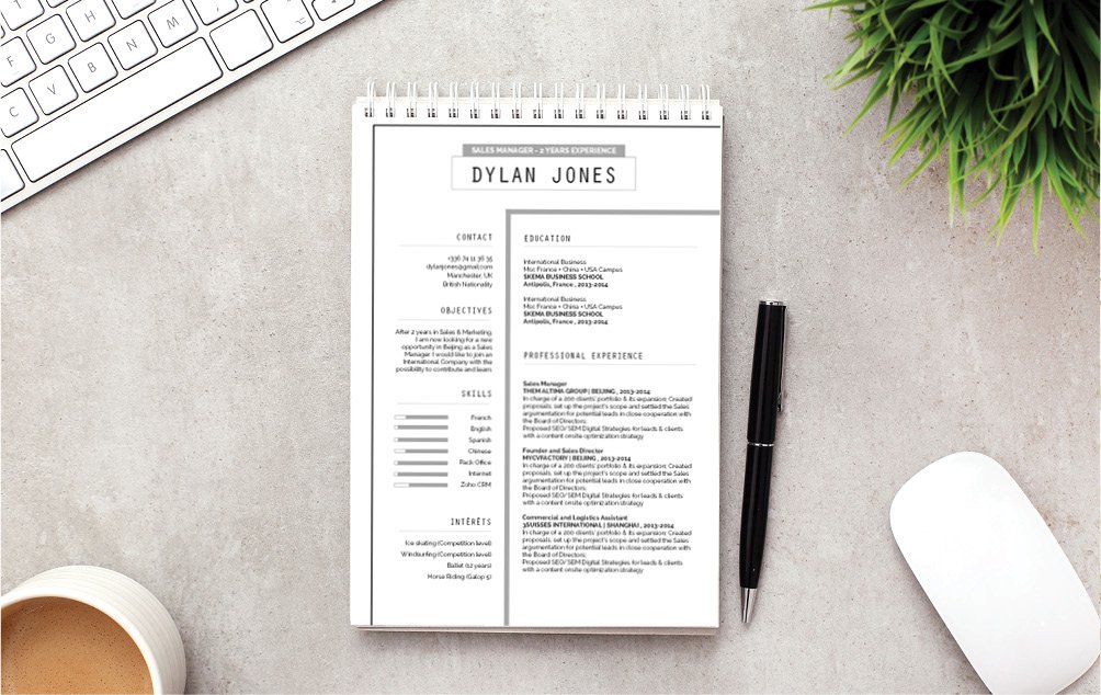 The best Professional CV Template too boost your career!