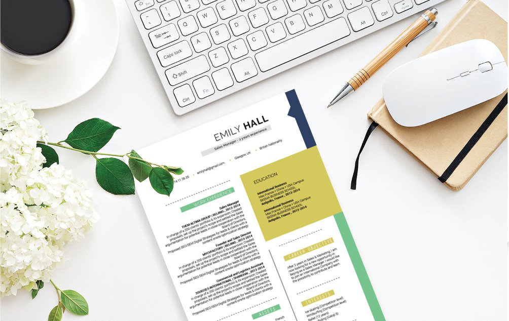 All the sections are excellently crafted in this modern CV