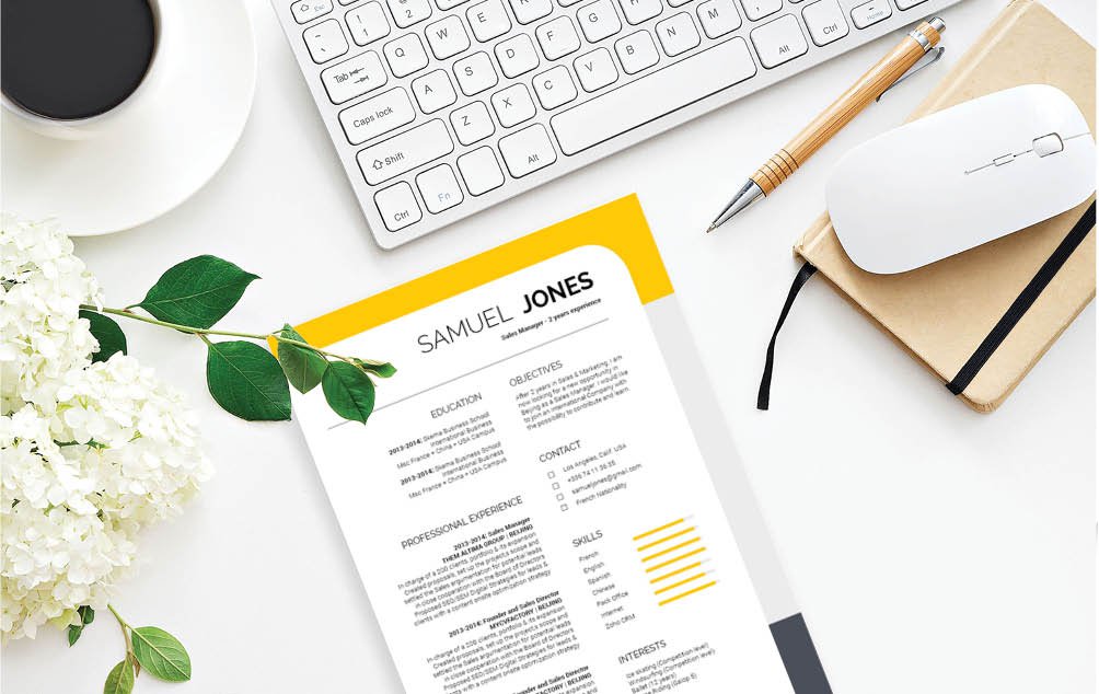 Career seekers will see this professional resume template as the perfect choice