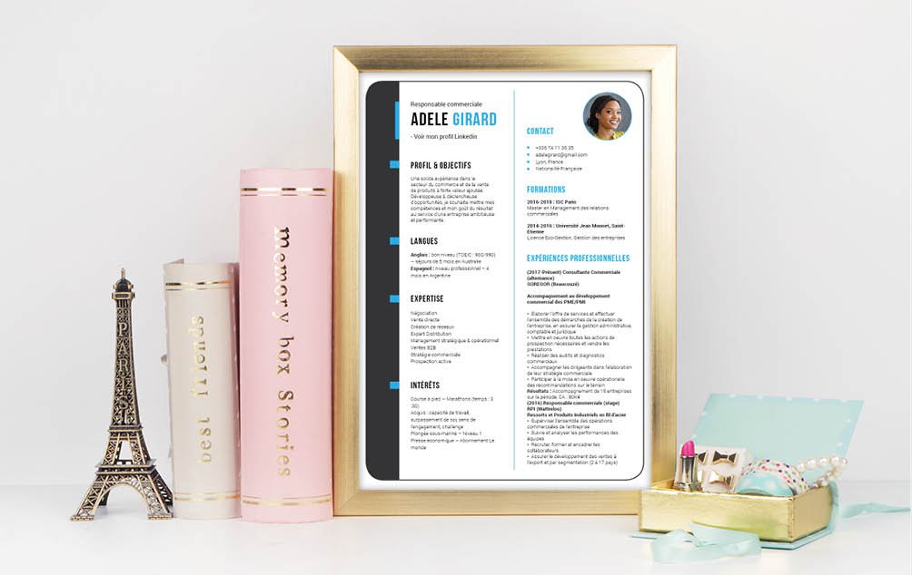 Mycvfactory-cv design-441.jpg Obtenez votre entretien à coup sûr grâce à ce CV aux nombreux atouts