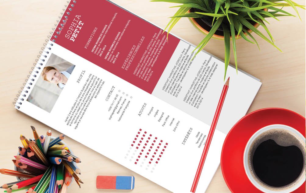 Mycvfactory-cv design-387.jpg Beau design, avec beaucoup de couleurs. Des séparations nettes pour chaque section