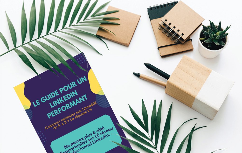 Fiche 23 Linkedin B.jpg Optimiser profil Linkedin
