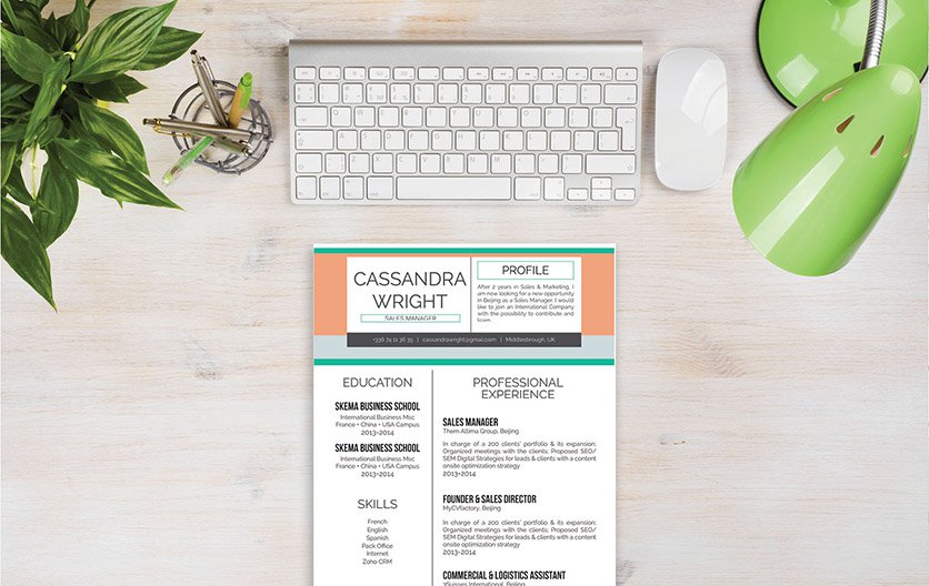 This good resume template is made even better thanks to the professional choice of colors and texts