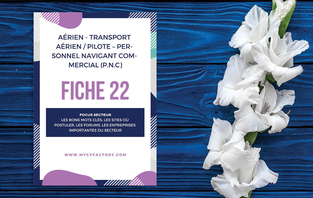 Fiche secteur 22 B.jpg CV navigants commerciaux