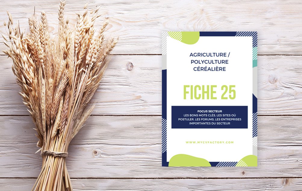 Fiche 25 B.jpg CV original agriculture céréalière