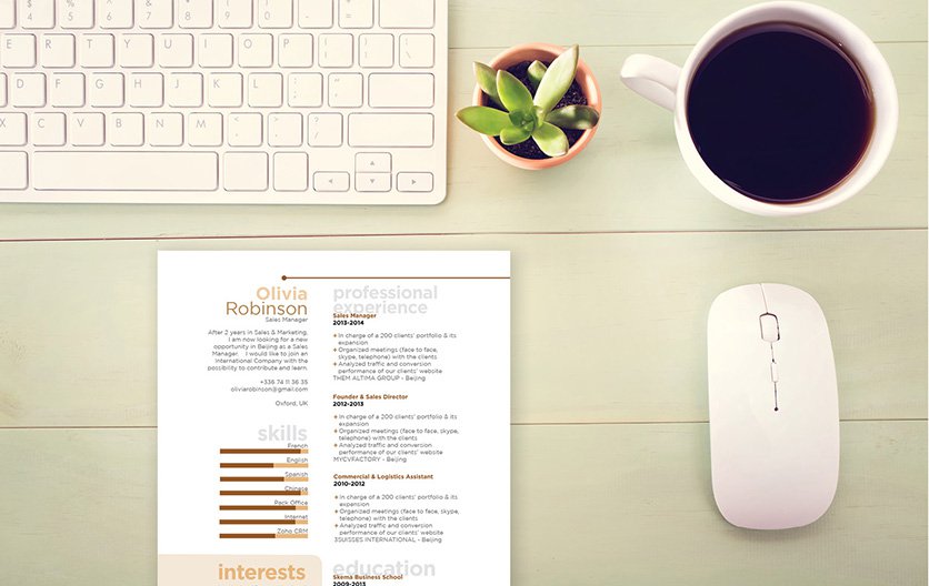 Well-laid out and functional are two things that perfectly describe this great resume!