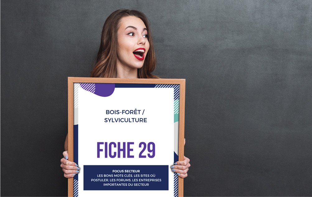 Fiche 29 C.jpg CV original bois et forêt