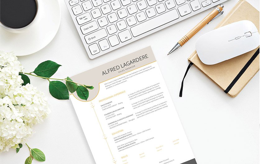 A clean CV format for all job types