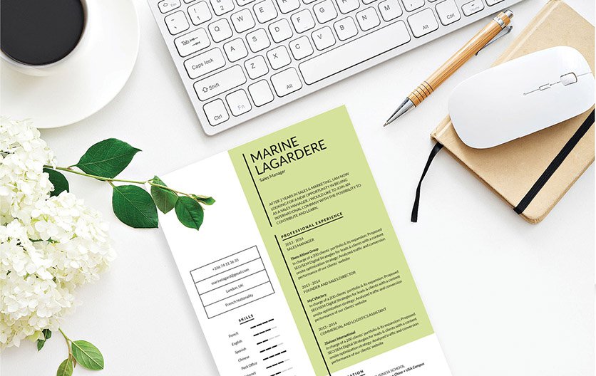 A simple resume format made with the concious effort in creating the perfect profile