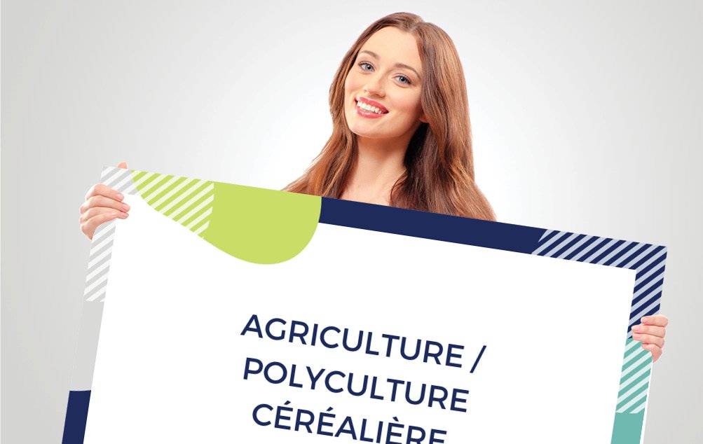 Fiche 25 C.jpg CV sur mesure polyculture céréalière