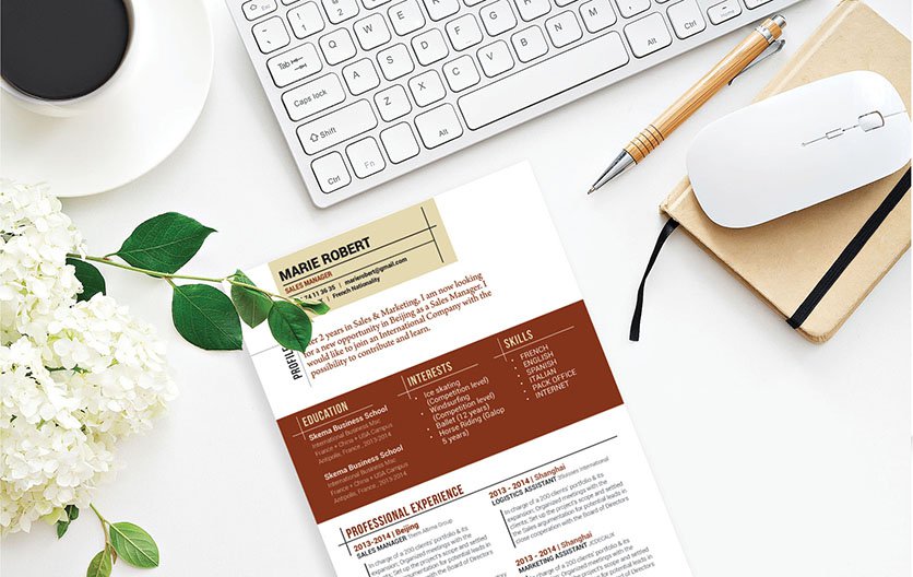 Need help writing a cv? No need to look further, this resume template is all you need!