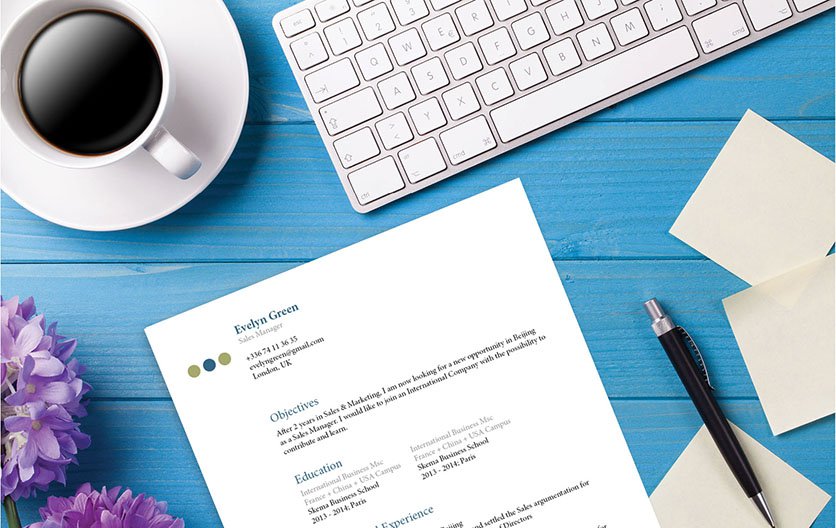This CV template will aid you in creating the perfect resume