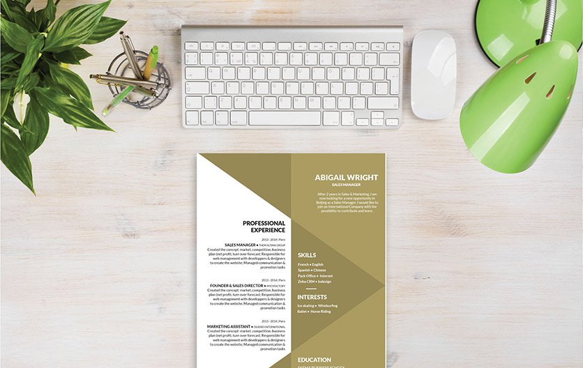 A resume layout with great choice of formatting and design