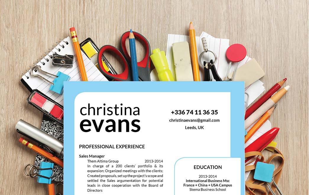 This functional resume template excellently highlights all the key parts in your CV