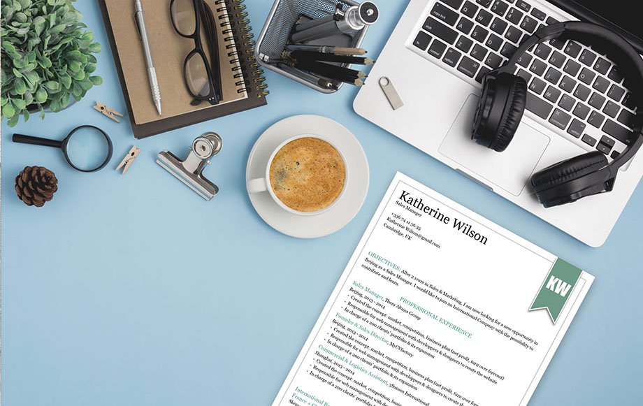 A clear and clean lay out and a functional design is present in this professional resume