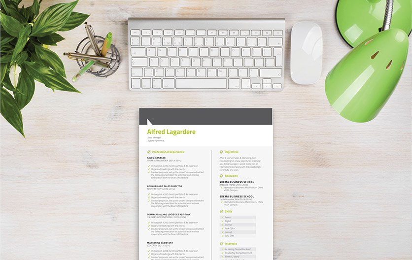 All the sections are well-highlighted in this professional CV, your skills and experience are presented well
