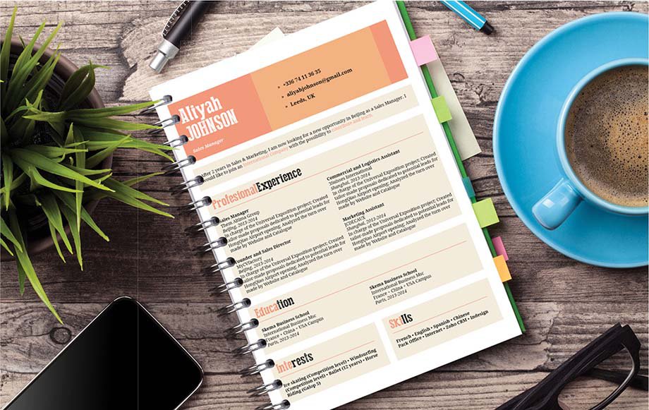 This professional resume template has functonal parts that is sure to impress!