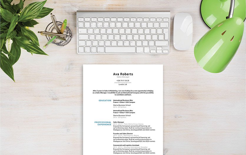 The professional resume template that is guaranteed to solidify your chances of landing that dream job