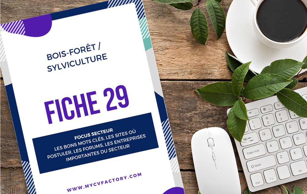Fiche 29 A.jpg CV forêt